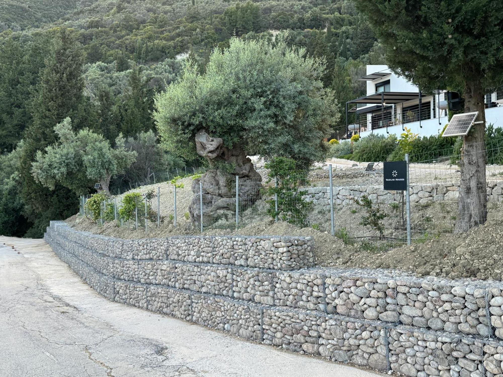 Vasiliki Houses Экстерьер фото