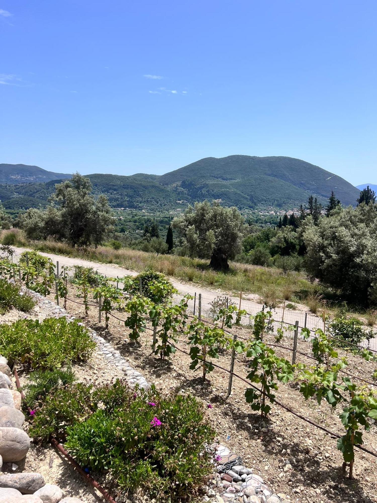 Vasiliki Houses Экстерьер фото